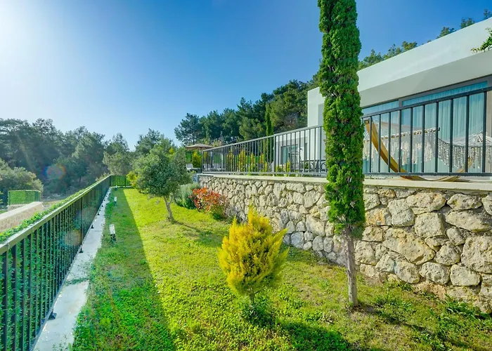 Pluto 1 - Planet Luxury *